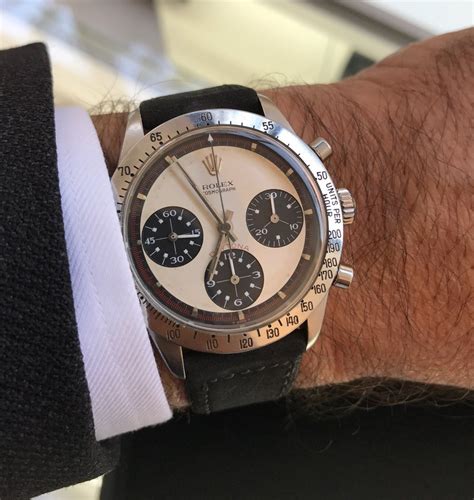 ron jeremy rolex daytona|rolex daytona history.